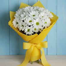 Букет цветов из:  Хризантемы #REPLACE_PRED# Фрязино