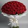 Букет 101 Красная роза Блэк Мэджик во Фрязино