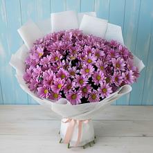 Букет цветов из:  Хризантемы #REPLACE_PRED# Фрязино