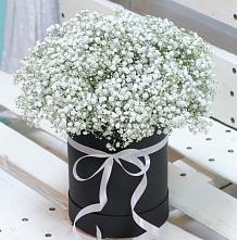 Цветочная композиция из Гипсофила в шляпной коробке #REPLACE_PRED# Фрязино