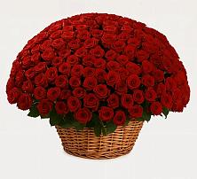 Премиум букет из: Розы #REPLACE_PRED# Фрязино