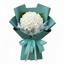 Букет цветов из:  Гортензия #REPLACE_PRED# Фрязино